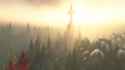 1.6 MB