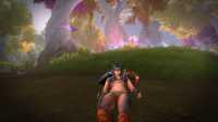 568 KB