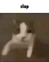 258 KB