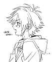 244 KB