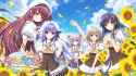 1.2 MB