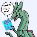 11 KB