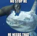 65 KB