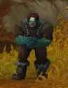 55 KB