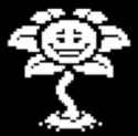 13 KB