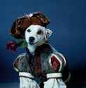 40 KB