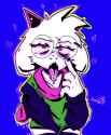 1.46 MB