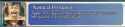 229 KB