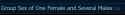 7 KB