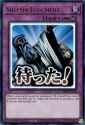 1.23 MB