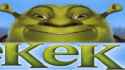 203 KB