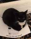 458 KB