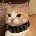 132 KB