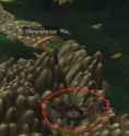569 KB