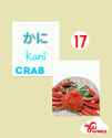 155 KB