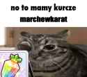 224 KB