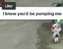 23 KB