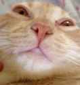 2 KB