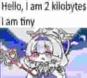 3 KB