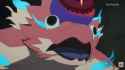 1.23 MB