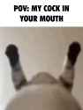 2.08 MB