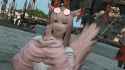 3.19 MB