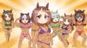 428 KB