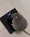 170 KB