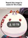883 KB