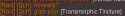 13 KB