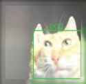 79 KB