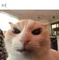 19 KB
