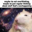 117 KB