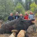 2.04 MB