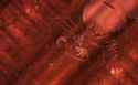 2.03 MB