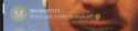 17 KB