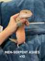 85 KB
