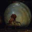 953 KB