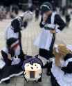 274 KB