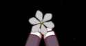 119 KB