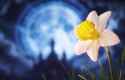 1.07 MB