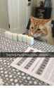 69 KB