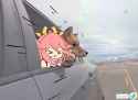 1023 KB