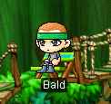 19 KB