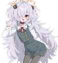1.13 MB