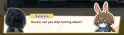 215 KB