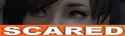 194 KB