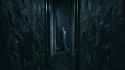 1.74 MB