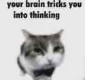 25 KB