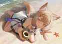 1.05 MB